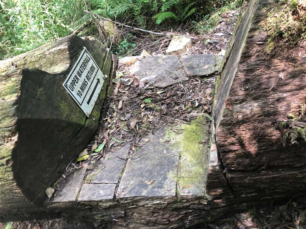 Fallen log with sign to upper waterfall