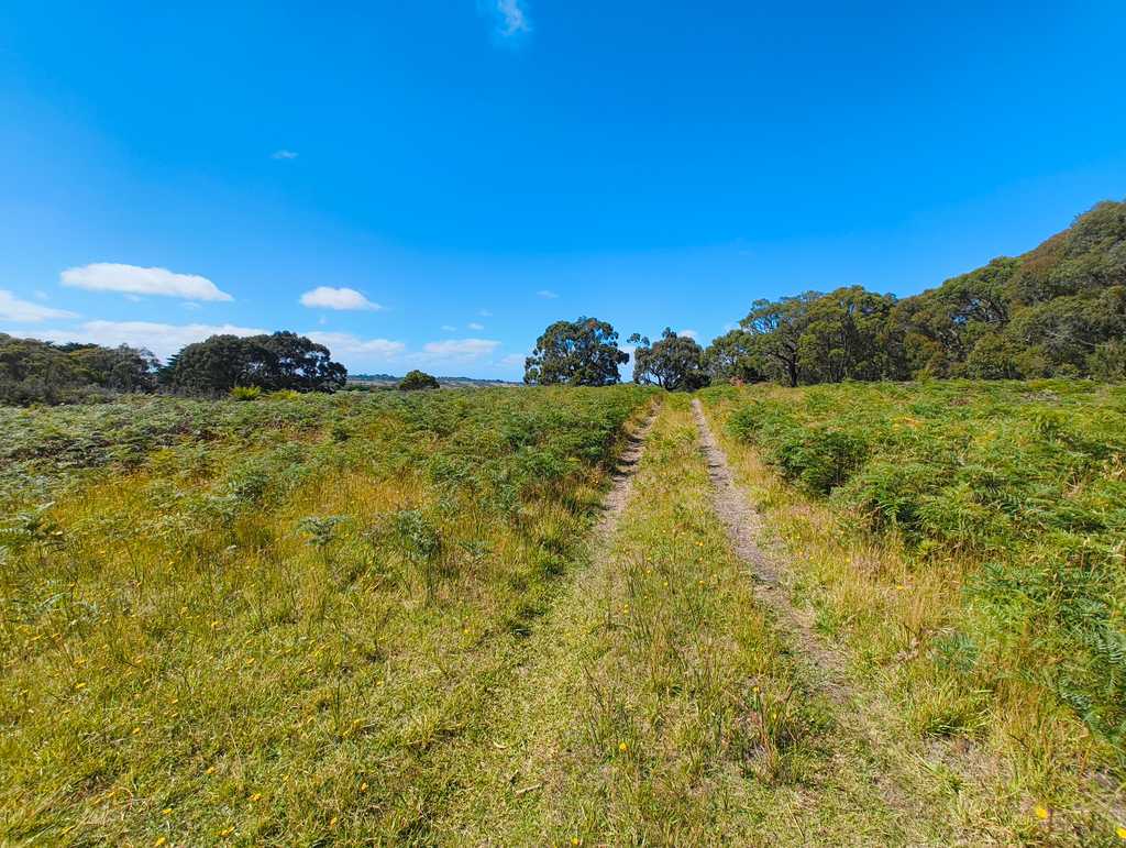The trail runs through open grassland