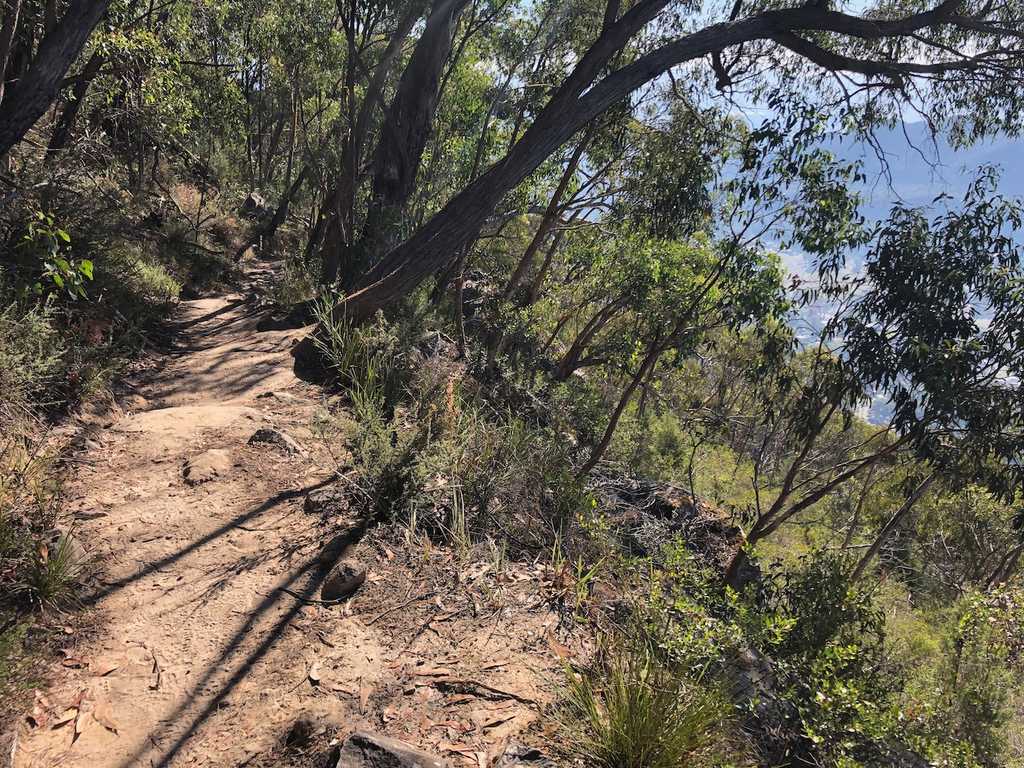 Path to Halls Gap